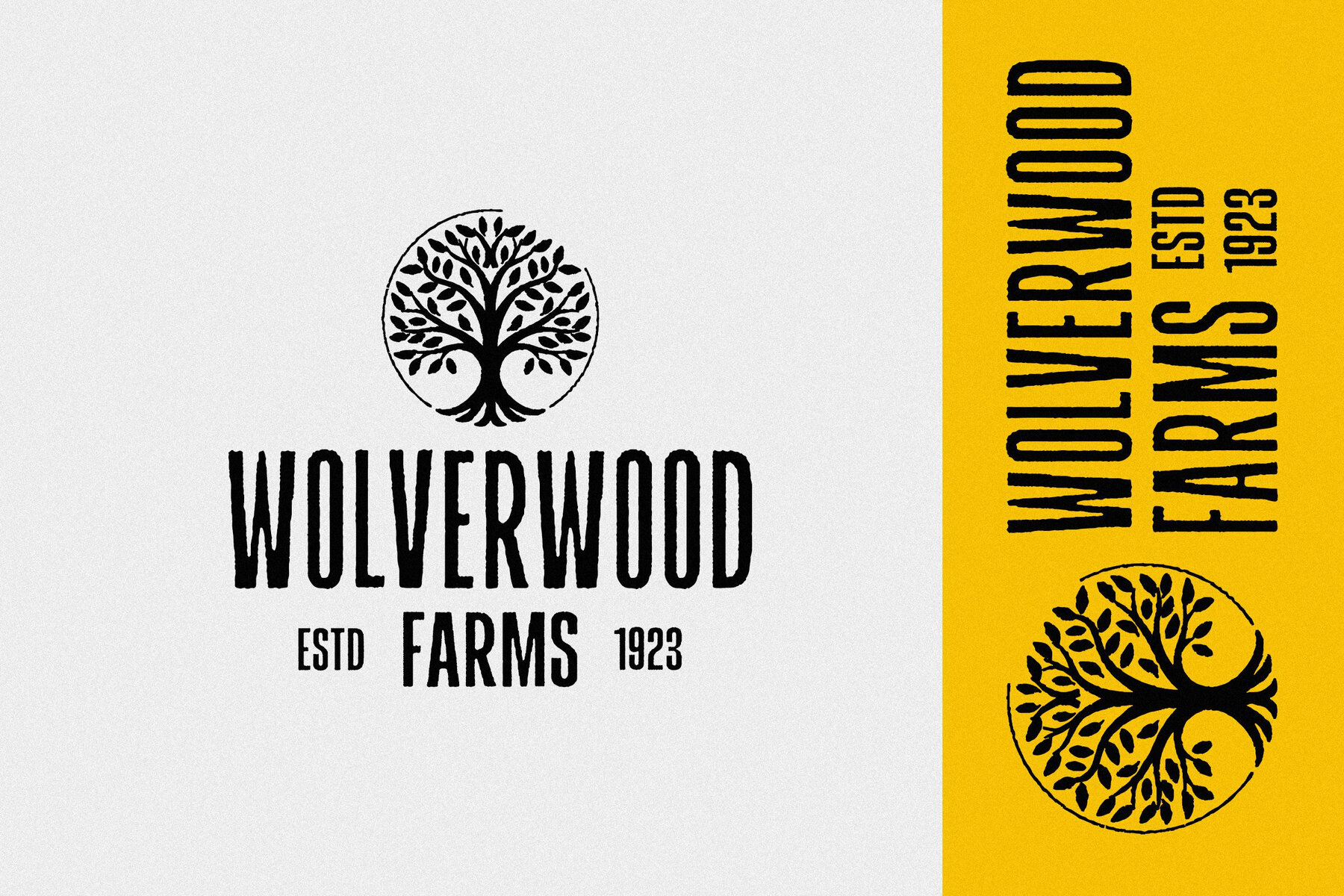 TC Headliner Print 4