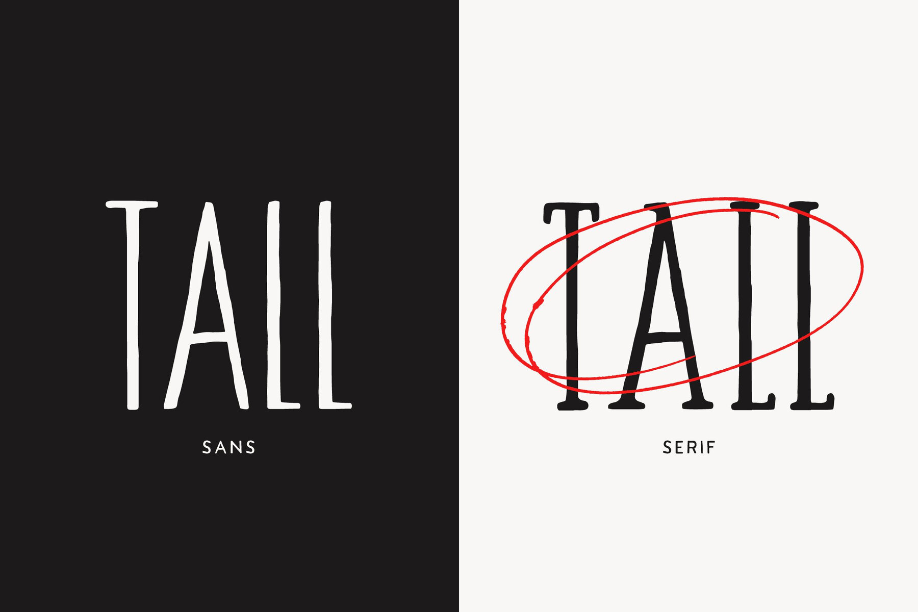 TC Tall Abbey Serif 6