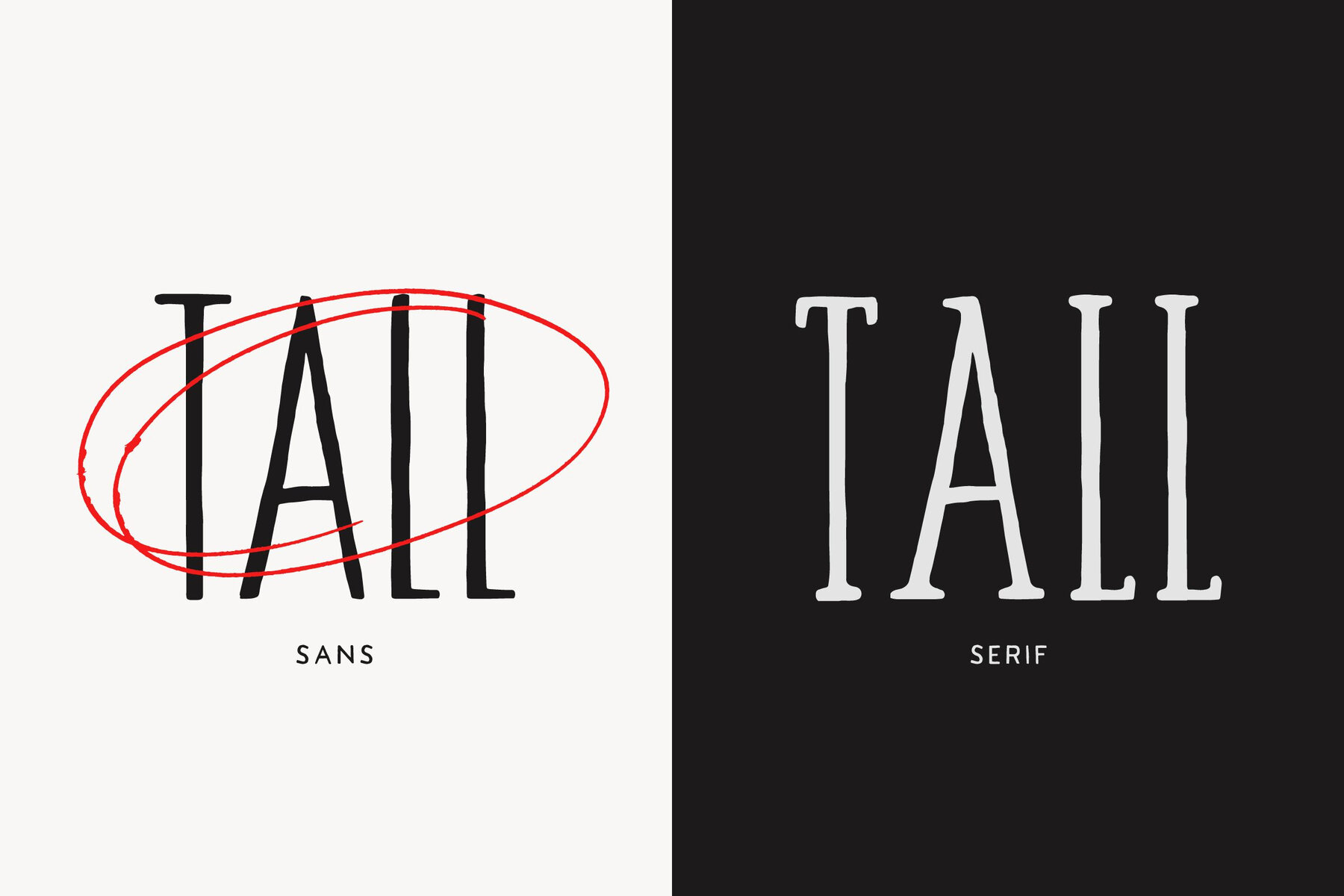 TC Tall Abbey Sans 8