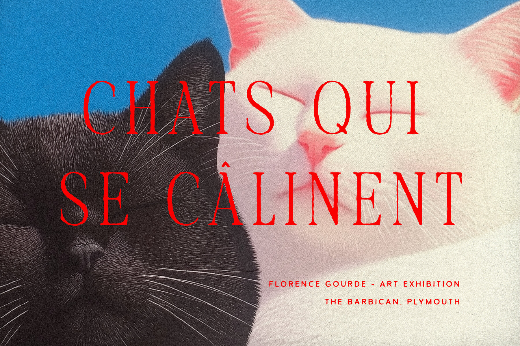 TC Brookleigh Archive 9