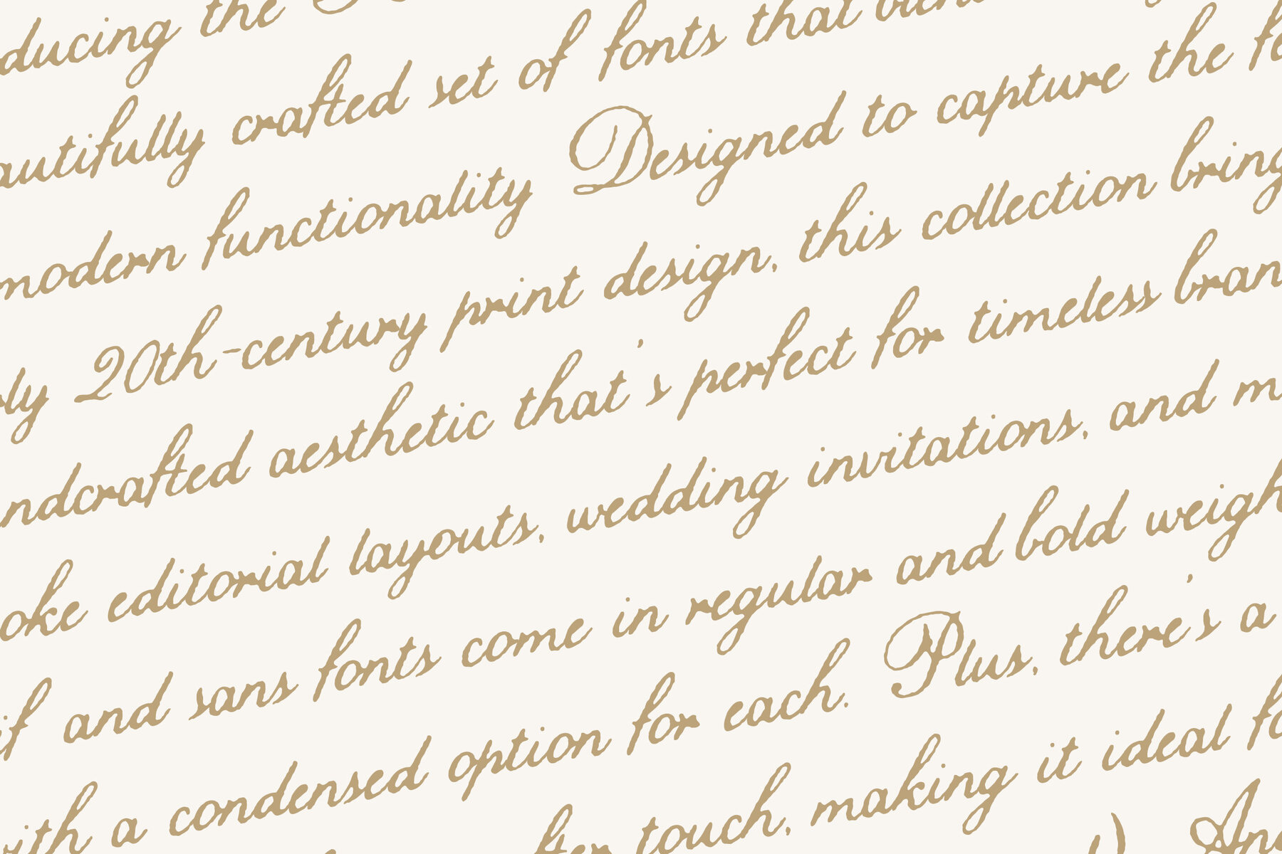 TC Hamilton Archive Collection 8