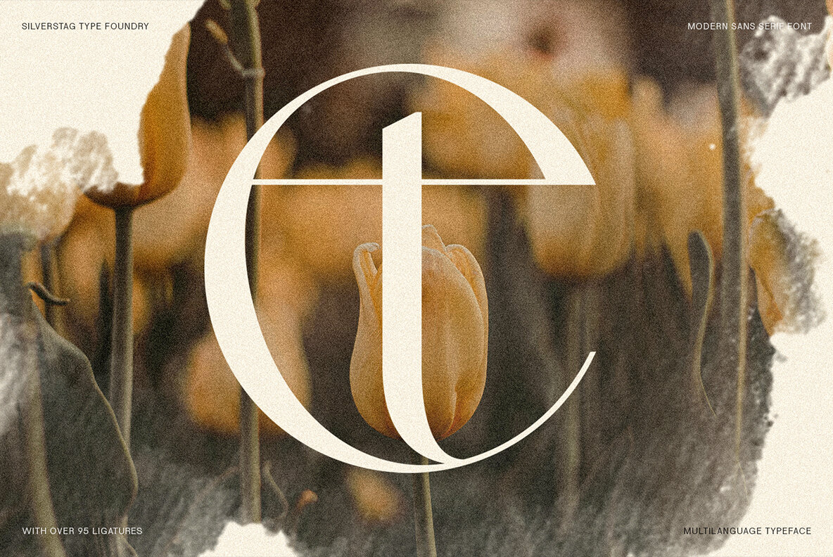 SLTF Night Windfall 11