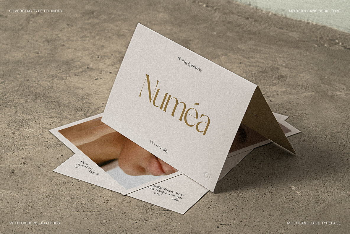 SLTF Night Windfall 15