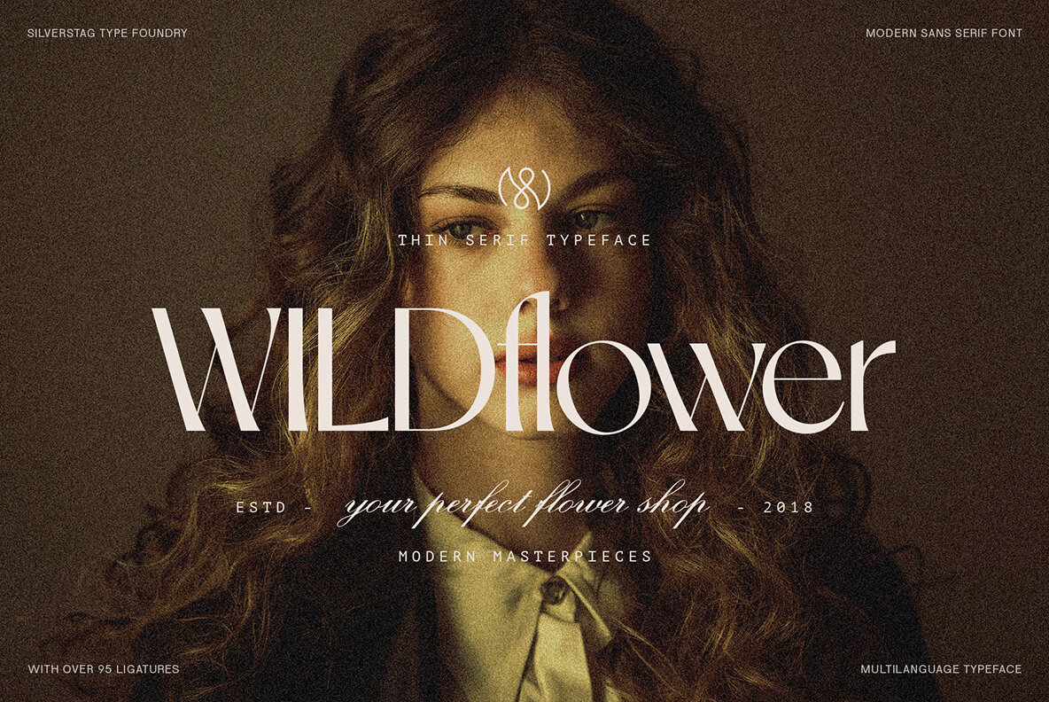 SLTF Night Windfall 21