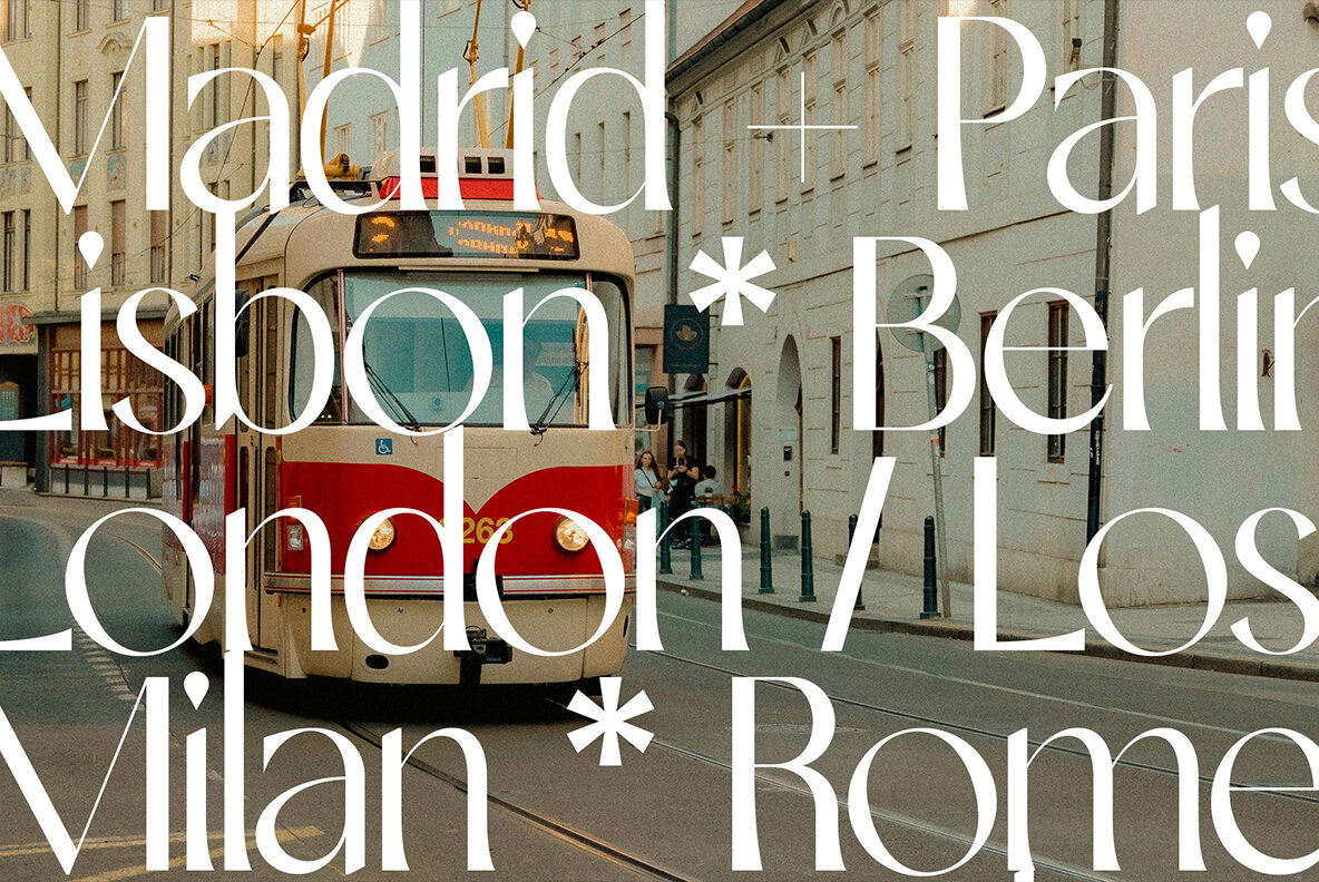 SLTF Night Windfall 24