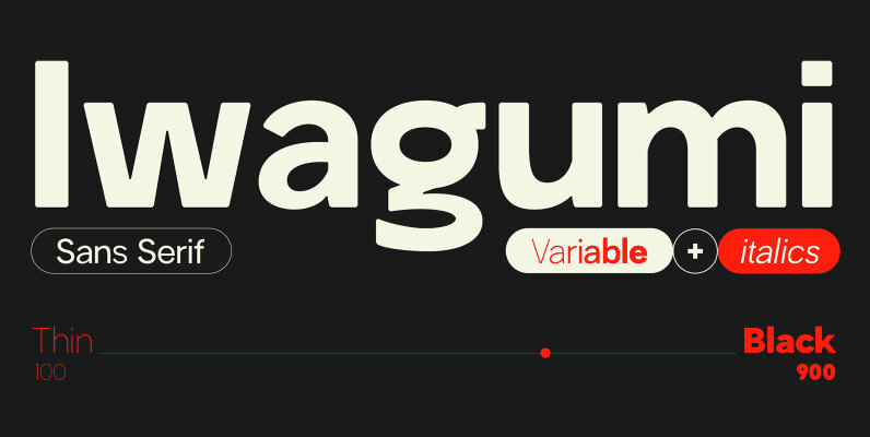 Iwagumi Sans