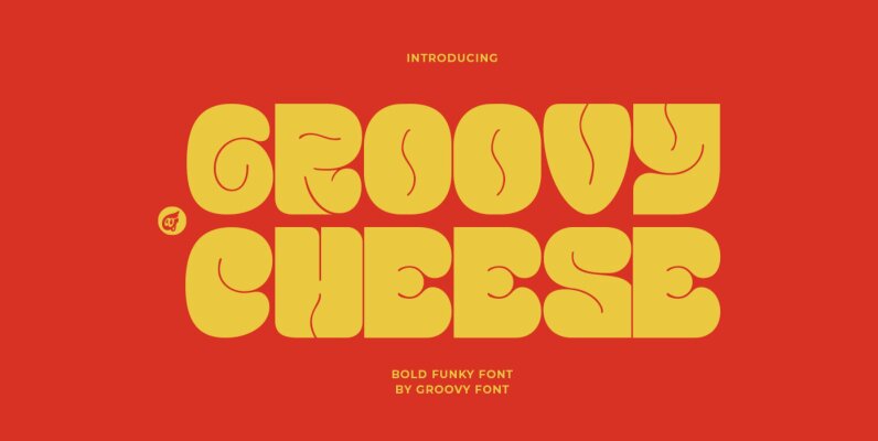 Groovy Cheese