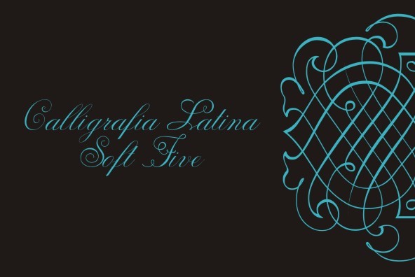 Calligraphia Latina Soft Five Calligraphia Latina Soft Five