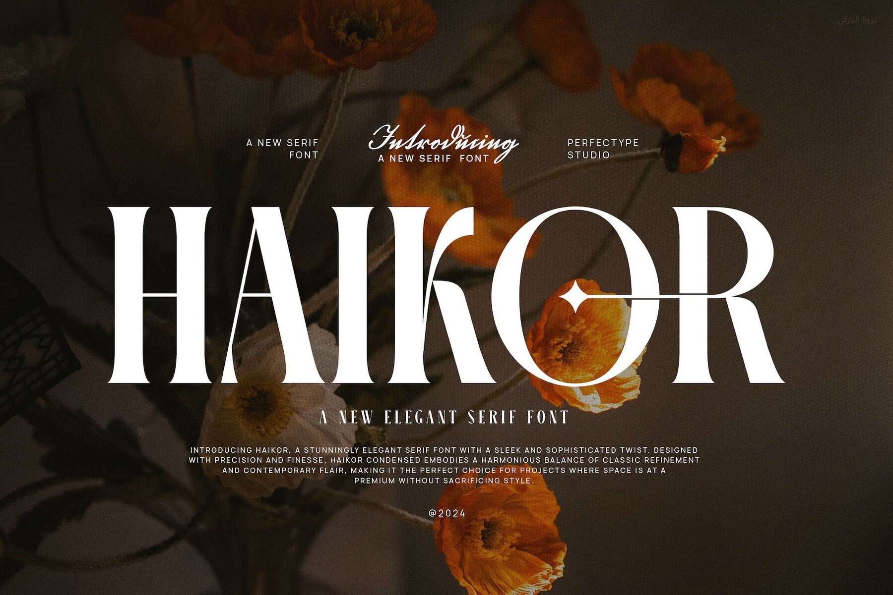 Haikor 1