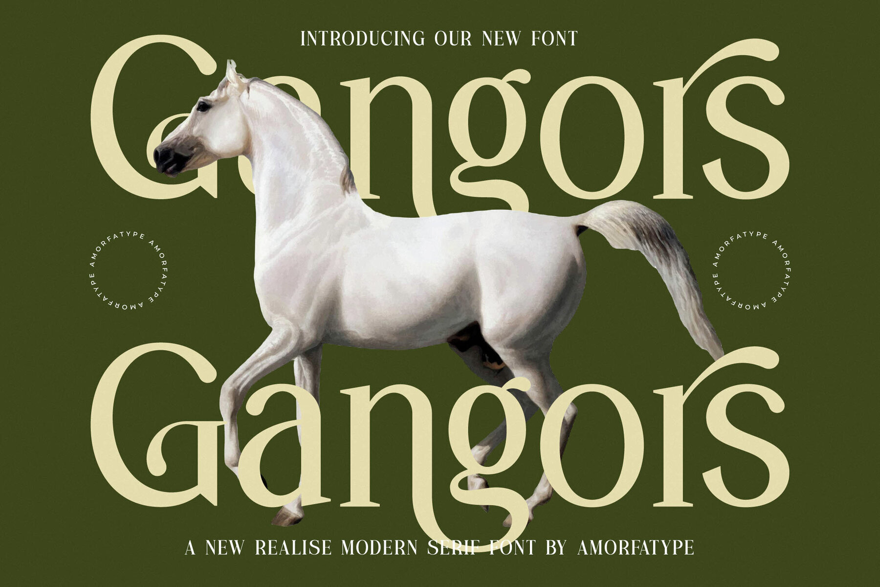 Gangors 1