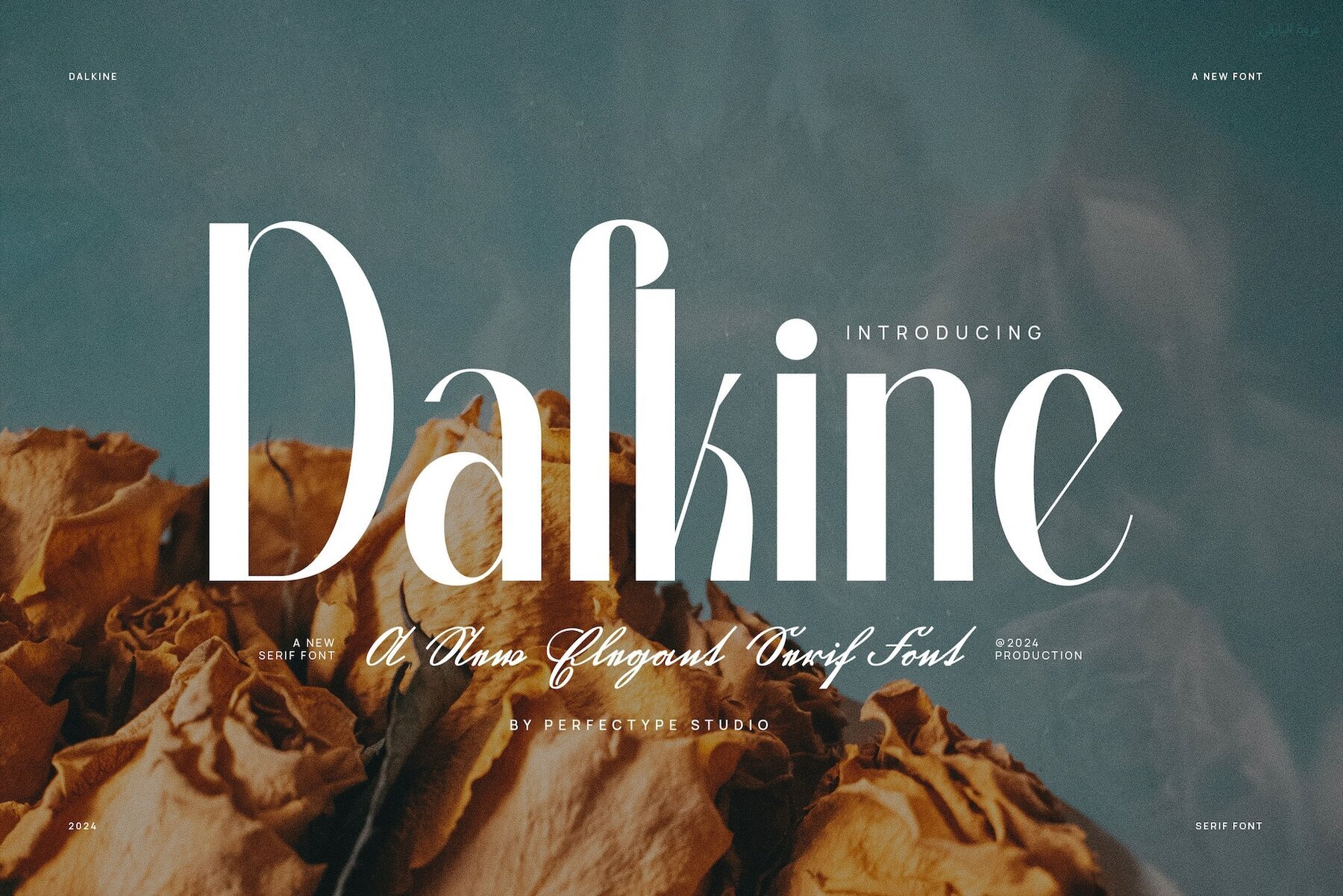 Dalkine 1