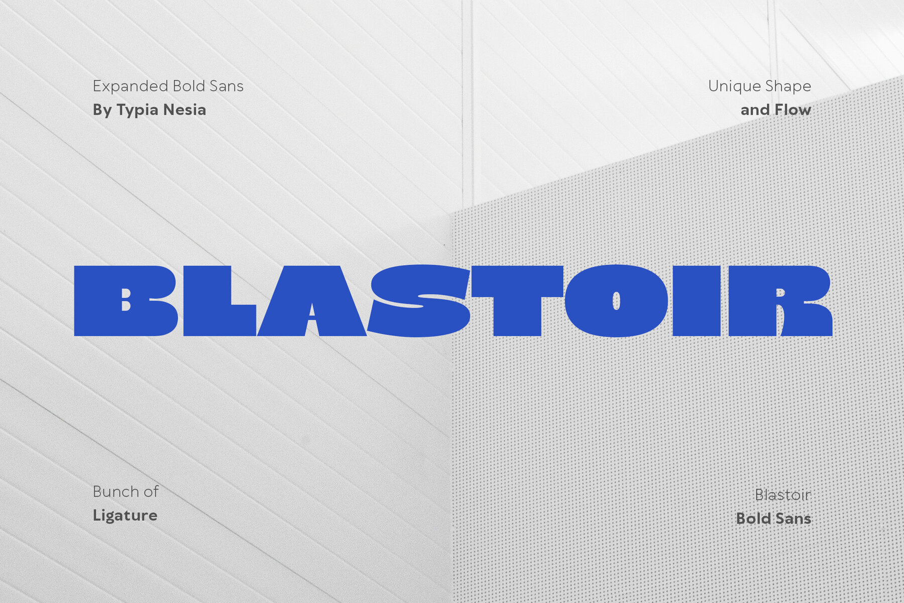 Blastoir 1