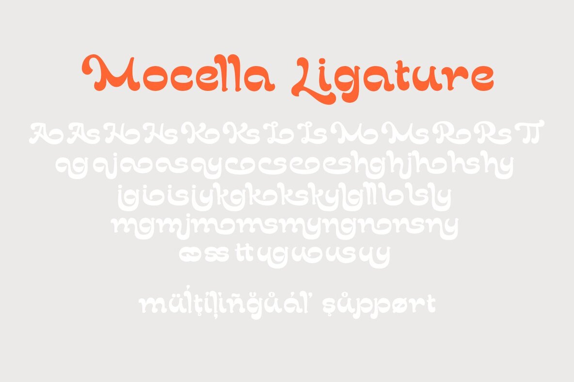 Mocella 10