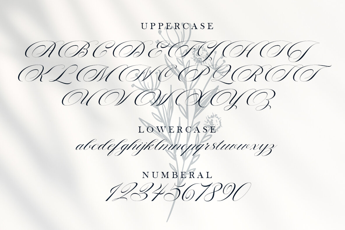 The Cartography Calligraphy 12