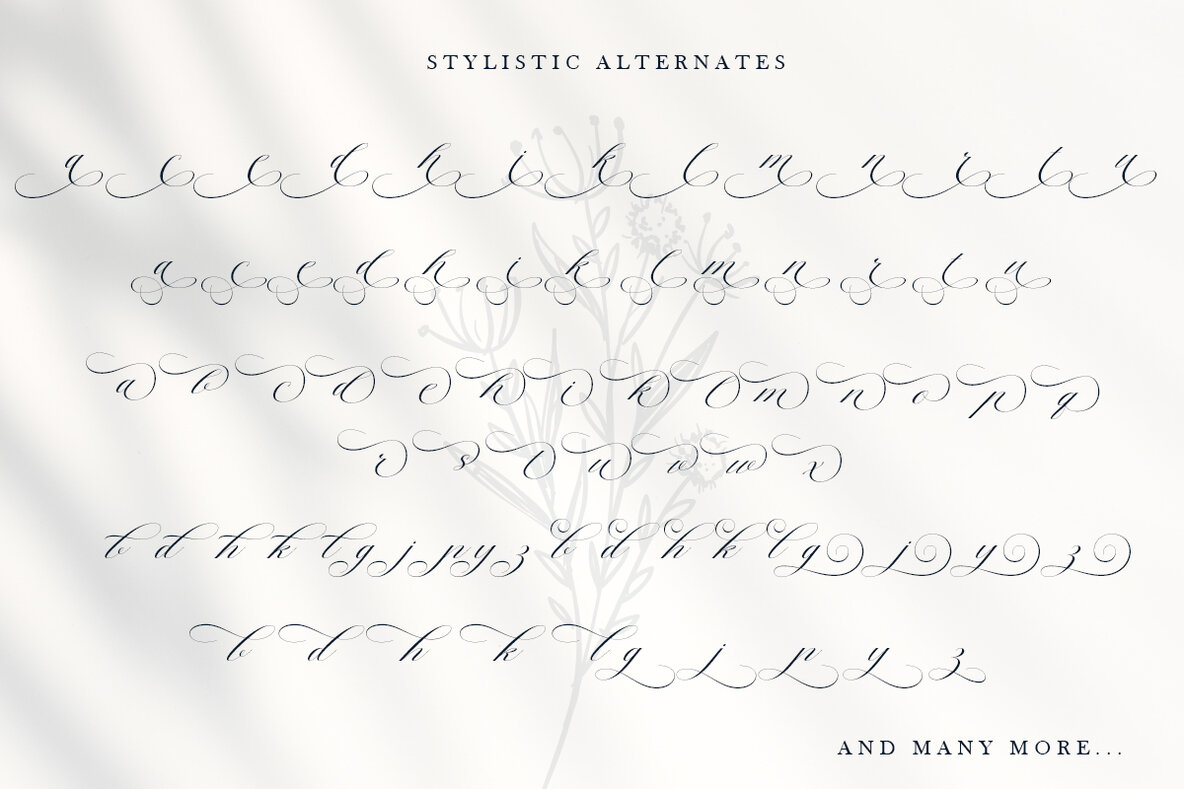 The Cartography Calligraphy 13