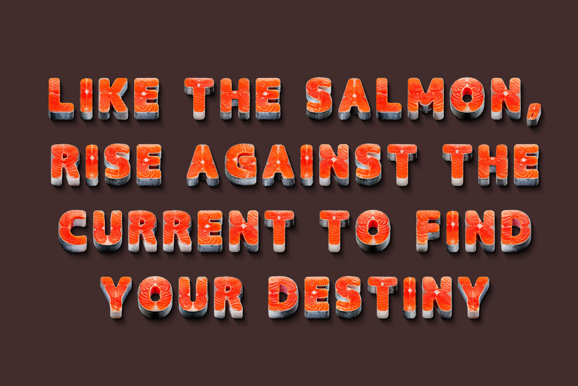 Salmon 4