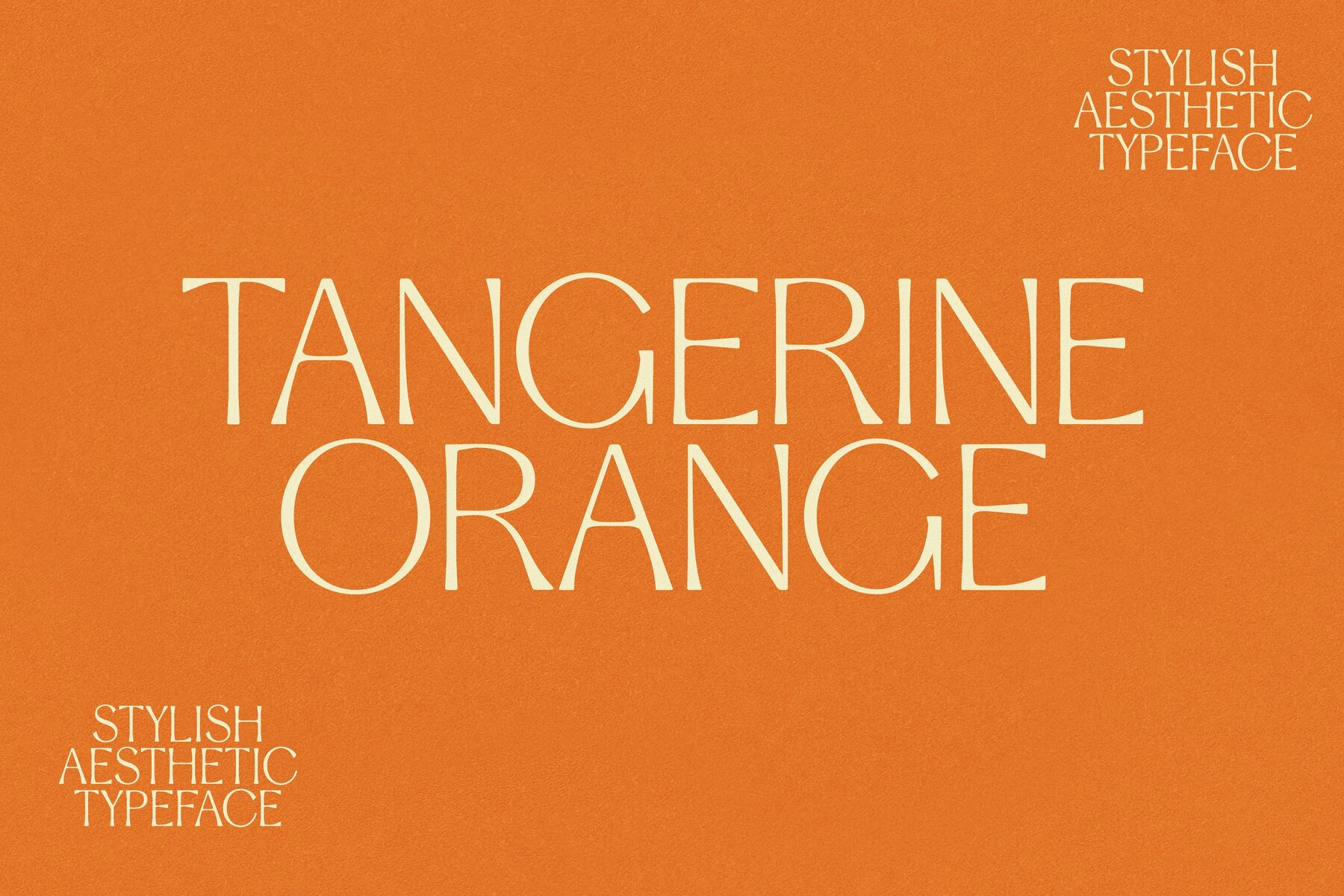 Stylish Aesthetic 11