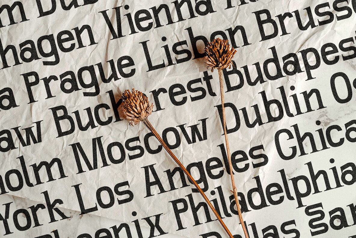 SLTF Winner Baroque 6