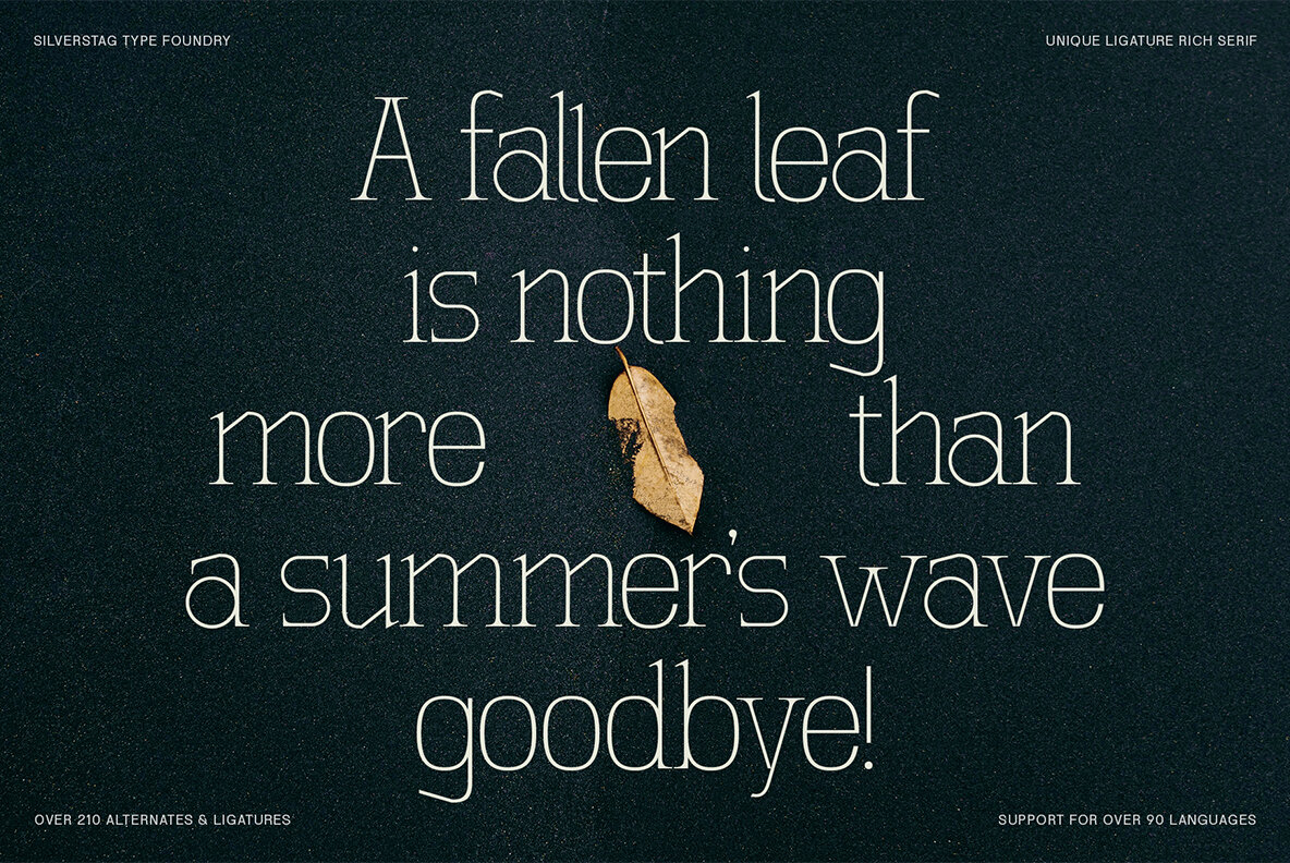 SLTF Winner Baroque 13