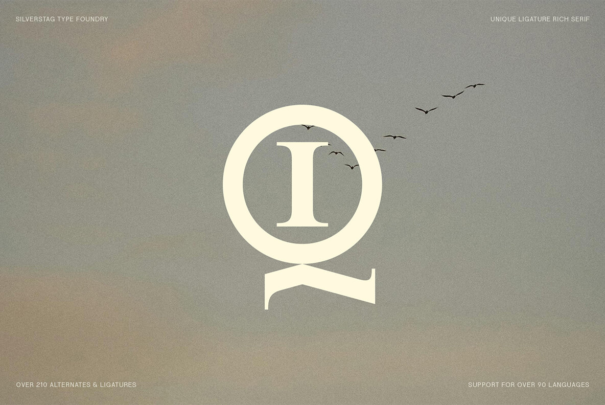 SLTF Winner Baroque 20