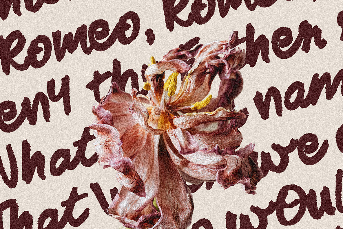 SLTF Midnight Chianti 8