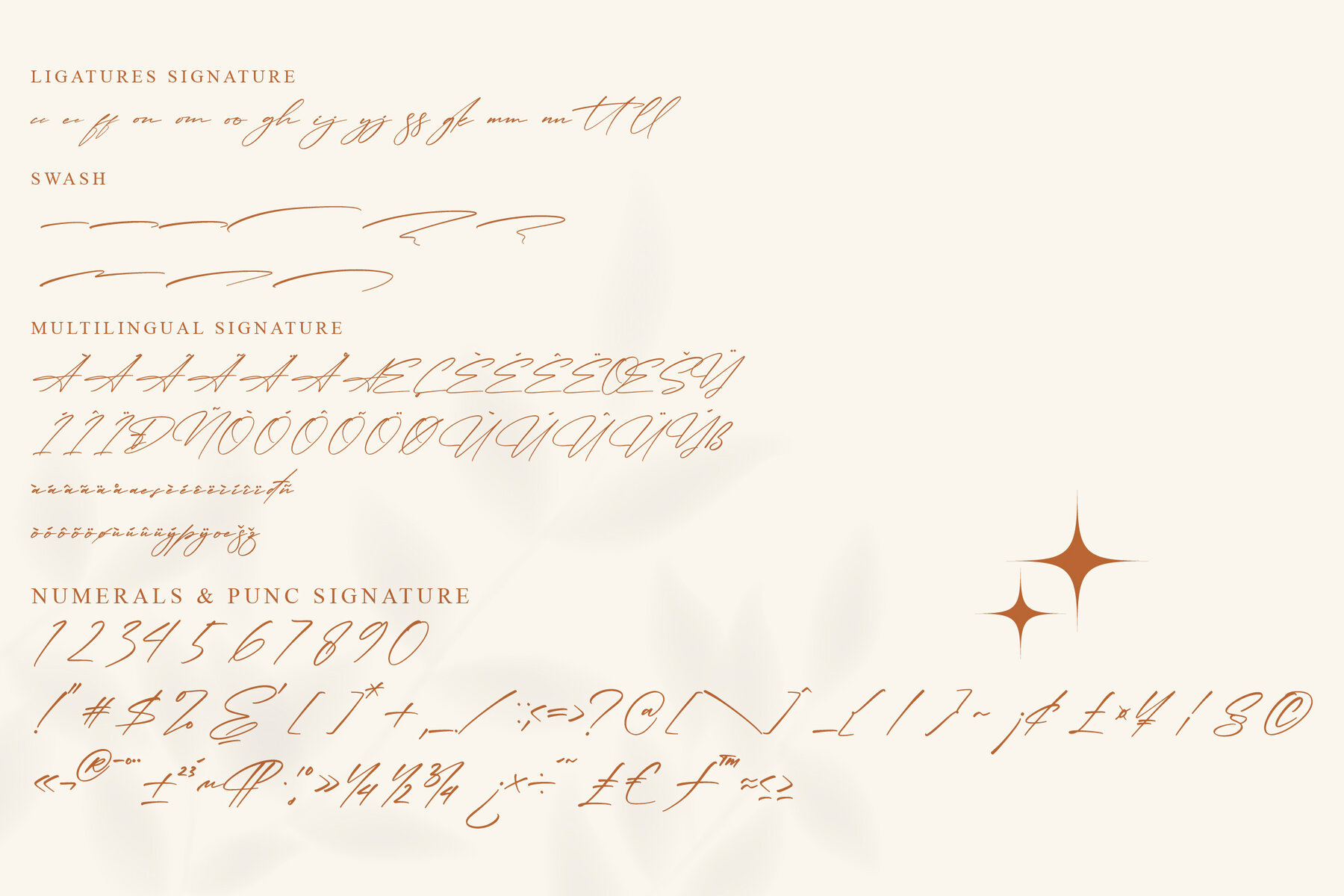 Qalisha Signature Font Duo 13
