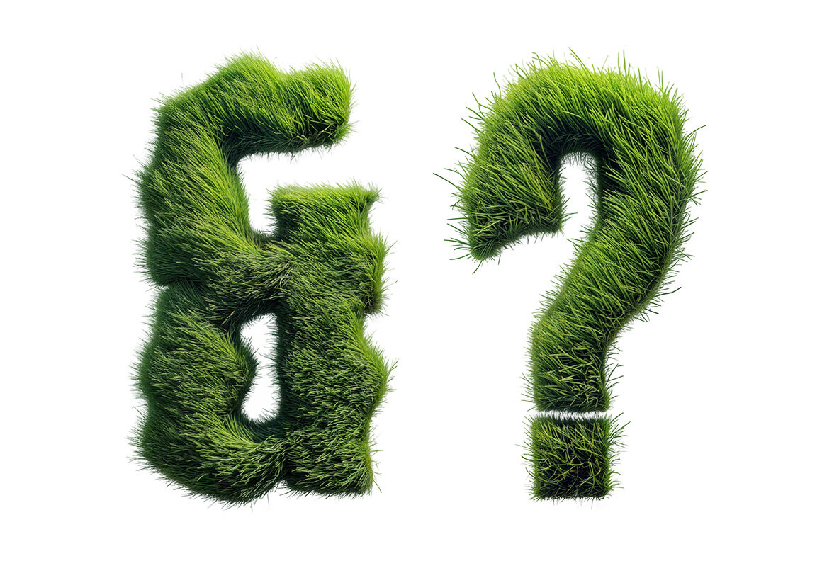Grassland SVG 6