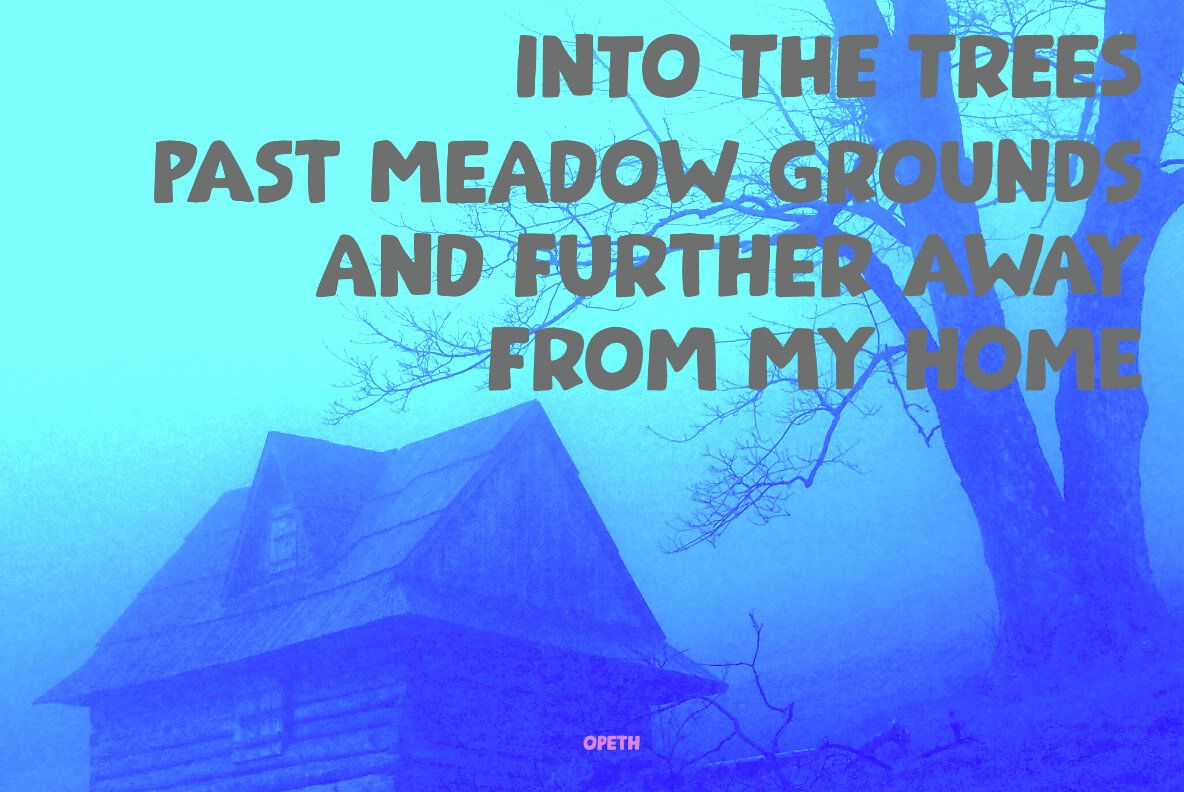 Transylvania Avenue 4