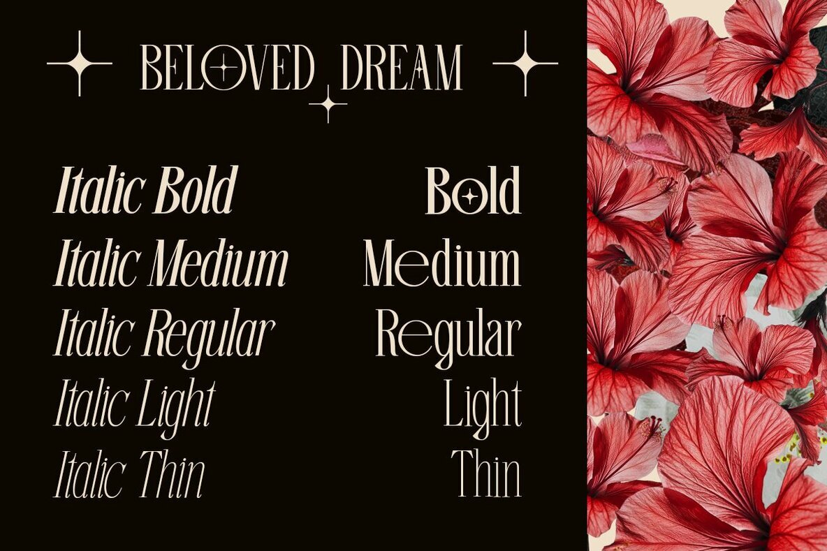 Beloved Dream 2