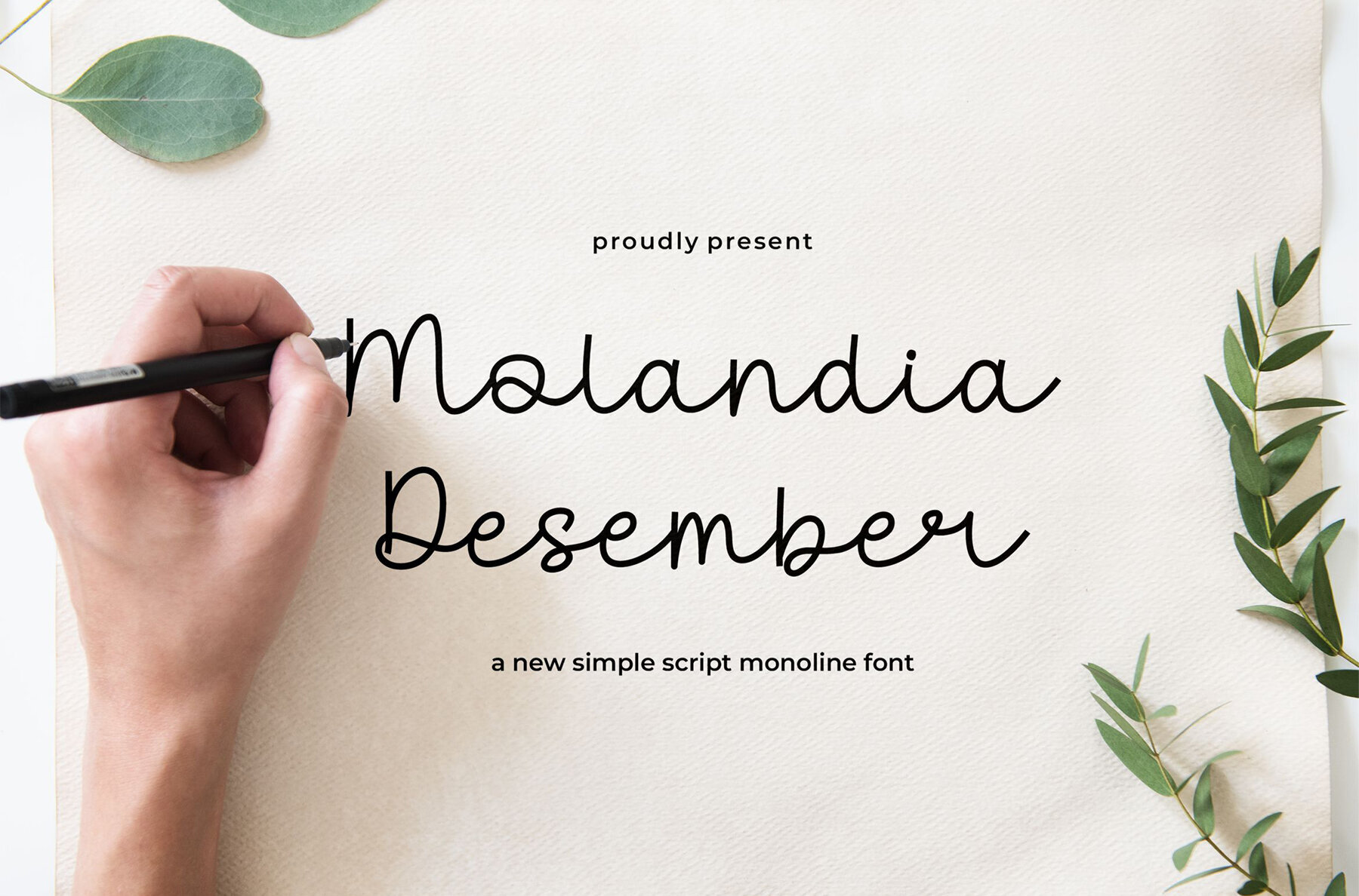 Molandia Desember 1