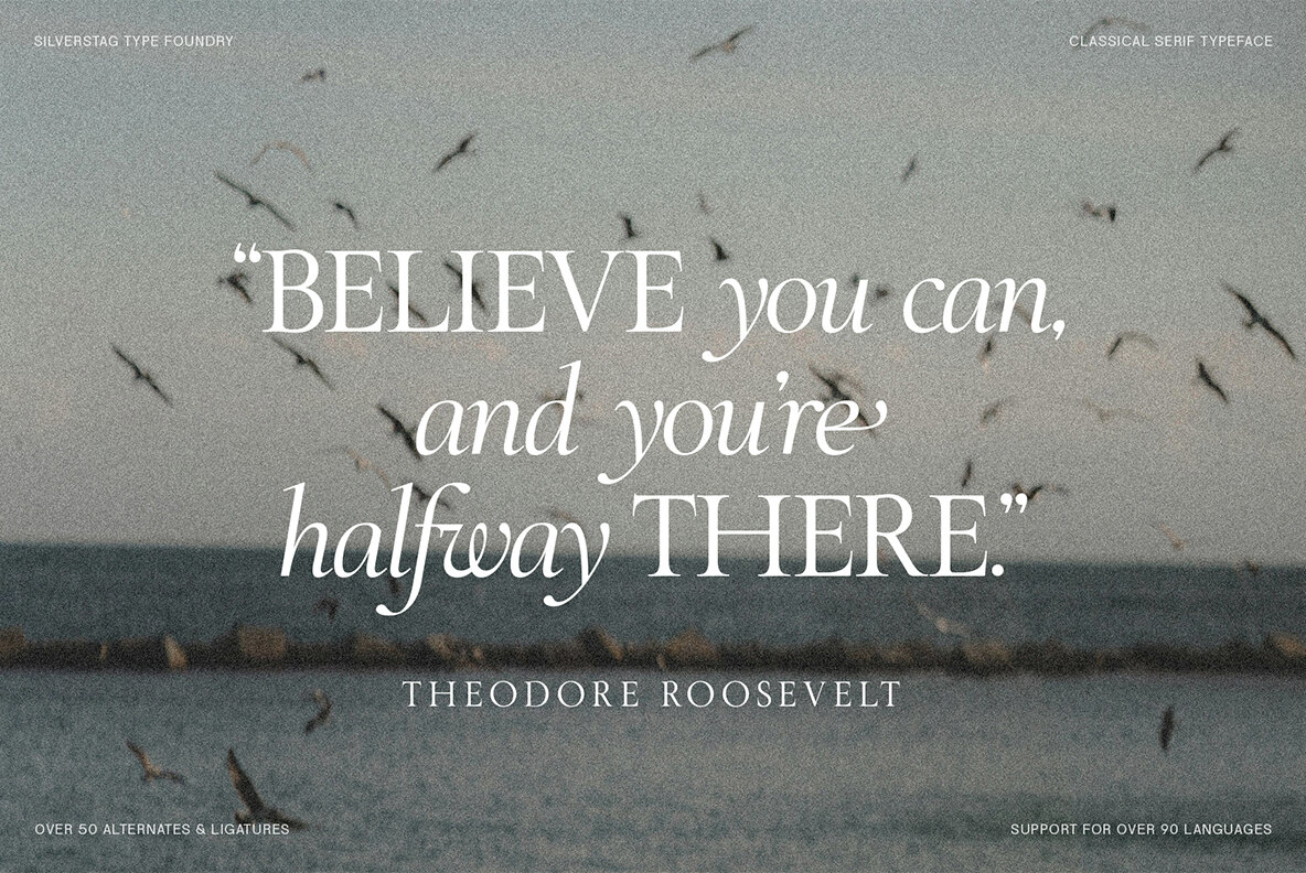 SLTF The Roman Edition 20