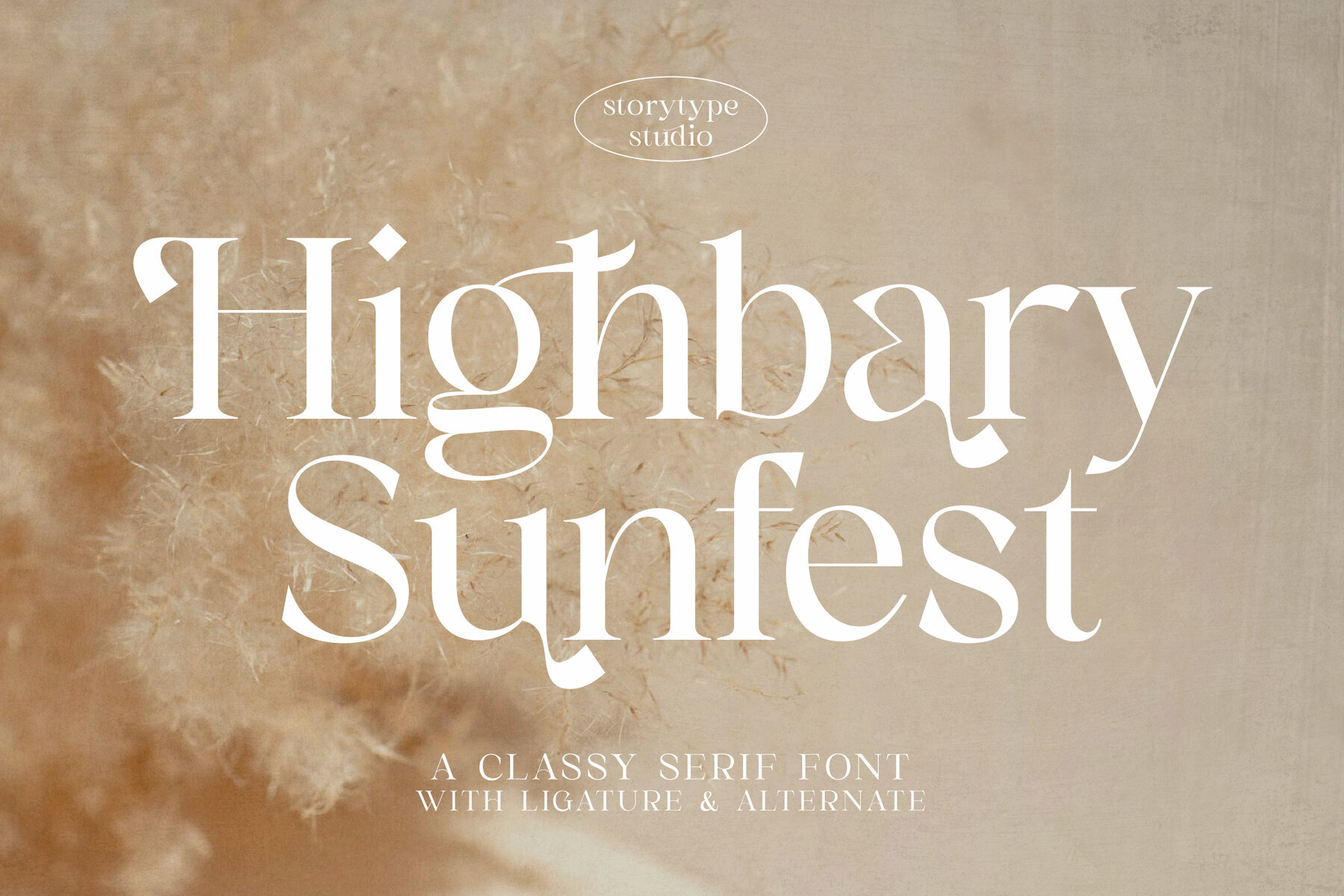 Highbary Sunfest 1