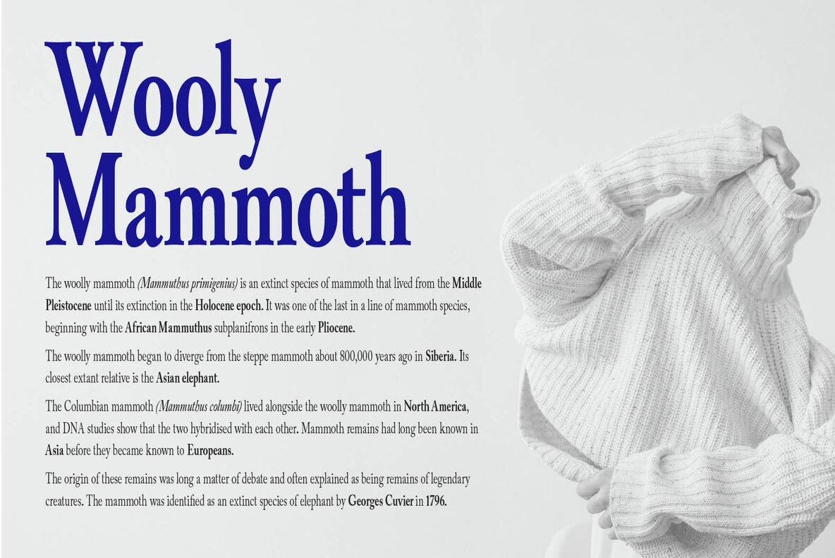 Alvito Nova Compressed 5