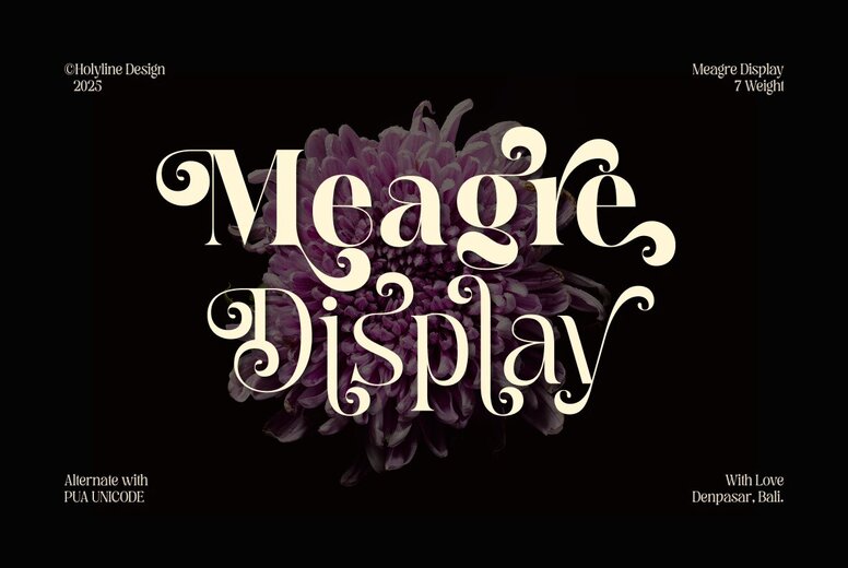 Meagre Display Font