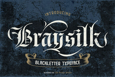 Braysilk