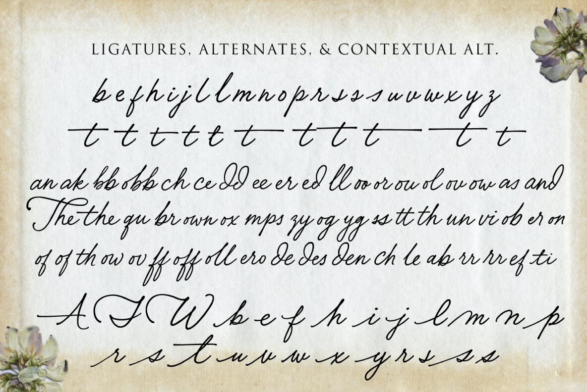 Smooth and Stable 12