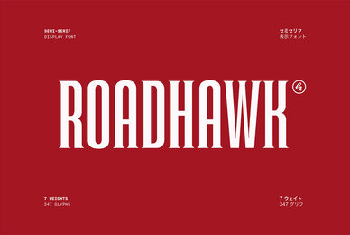 Roadhawk