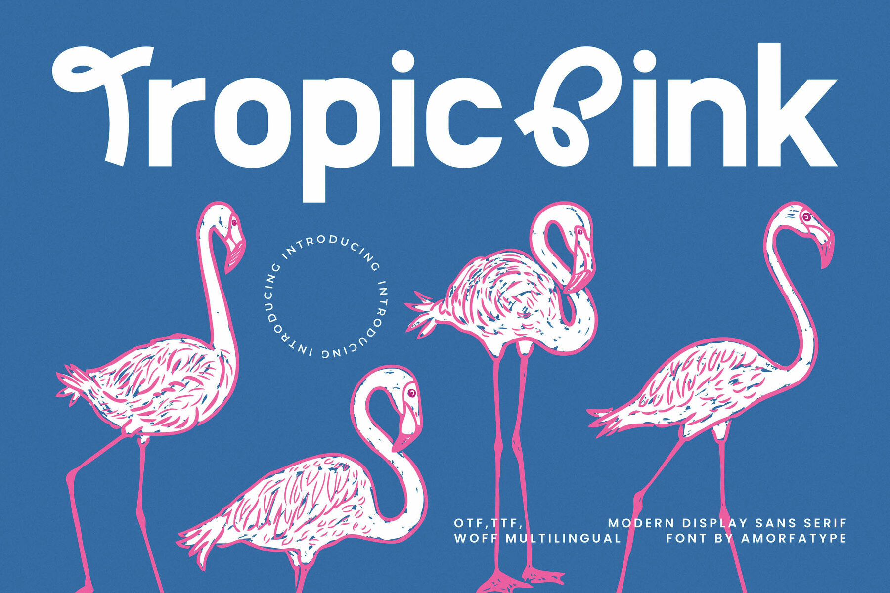 Tropic Pink 1