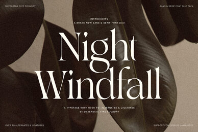 SLTF Night Windfall Font Duo