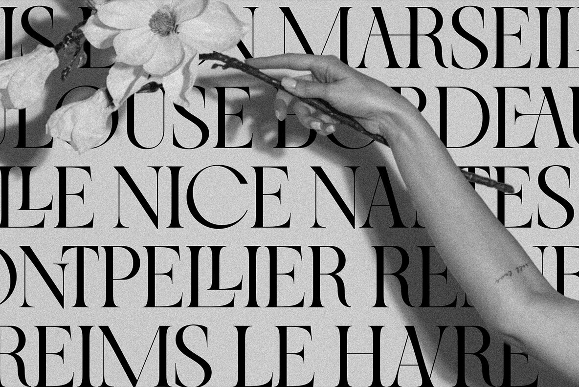 SLTF Night Windfall Font Duo 2