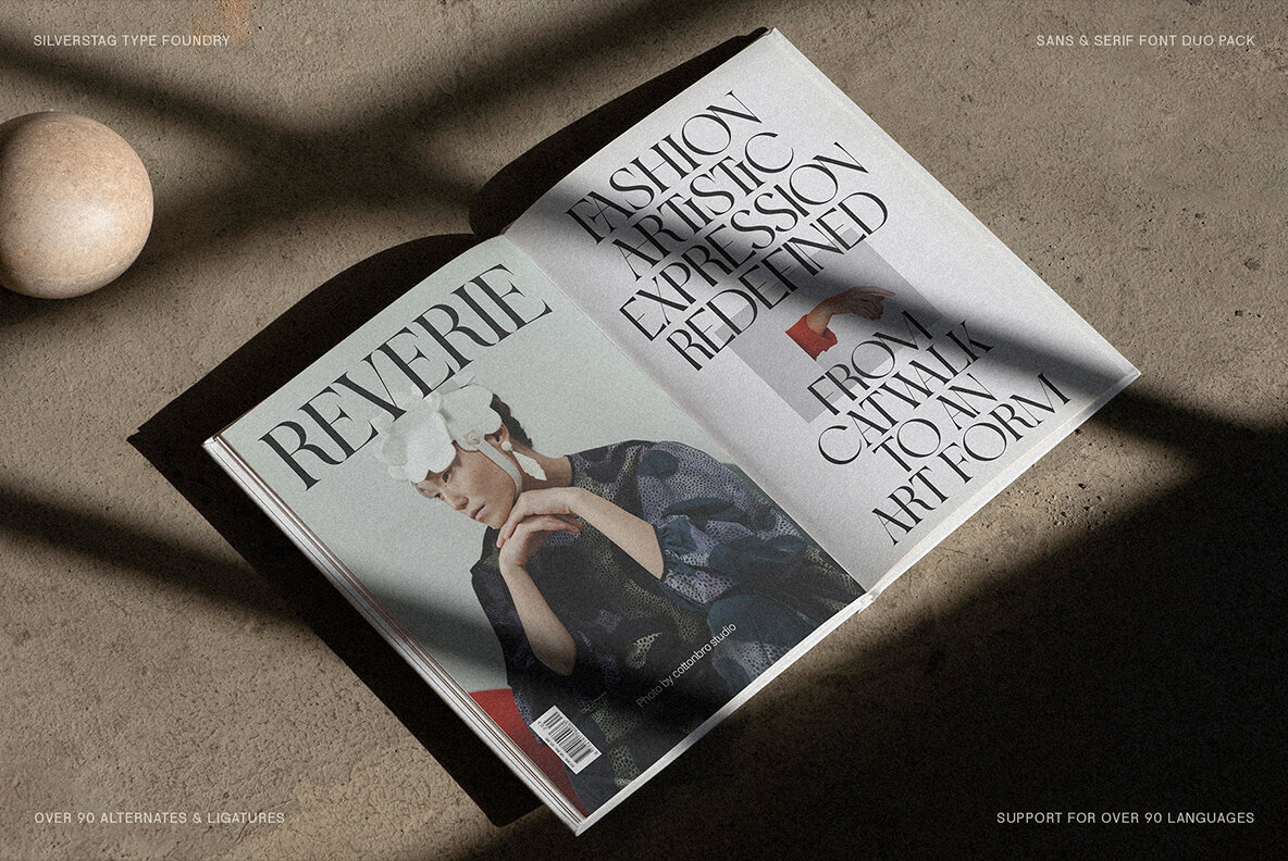 SLTF Night Windfall Font Duo 5