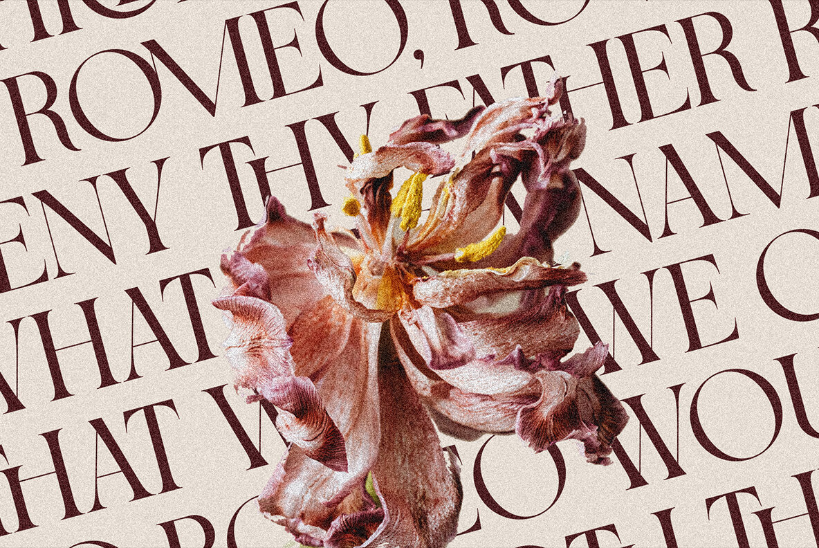 SLTF Night Windfall Font Duo 6