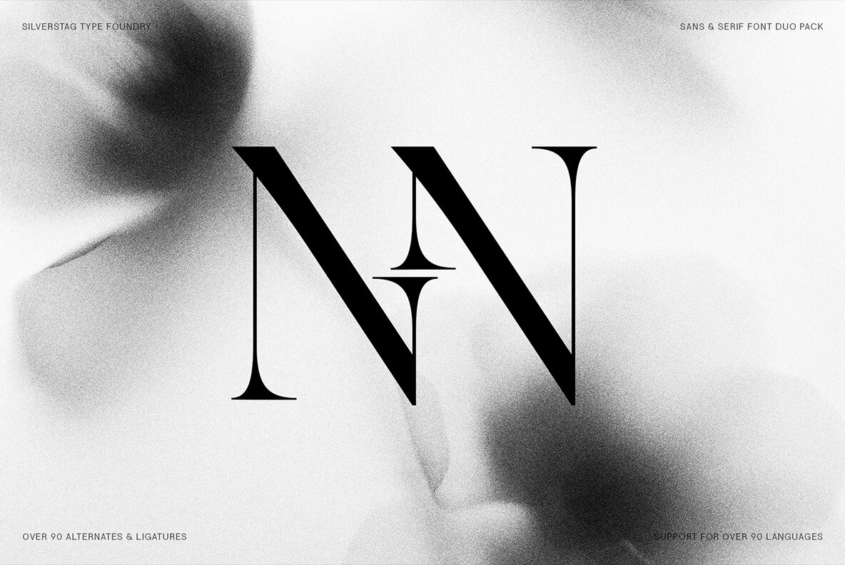 SLTF Night Windfall Font Duo 15