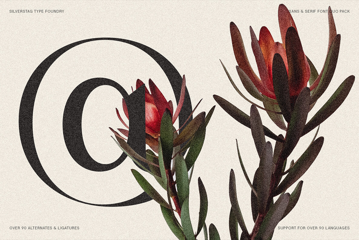 SLTF Night Windfall Font Duo 25