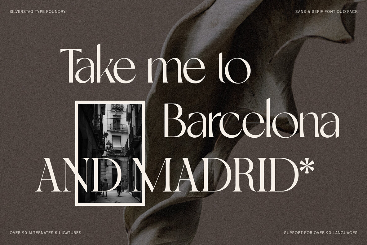 SLTF Night Windfall Font Duo 26