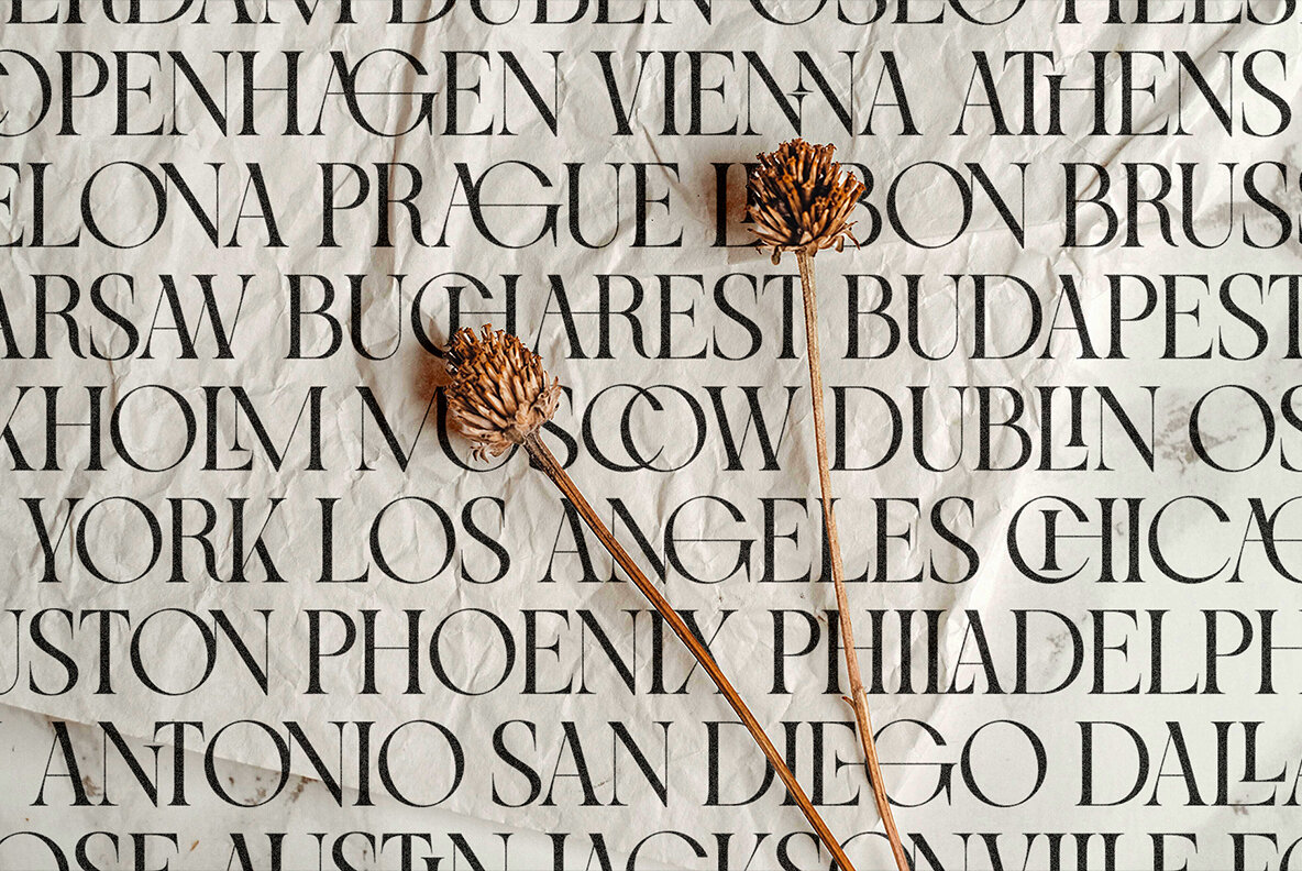 SLTF Night Windfall Font Duo 29