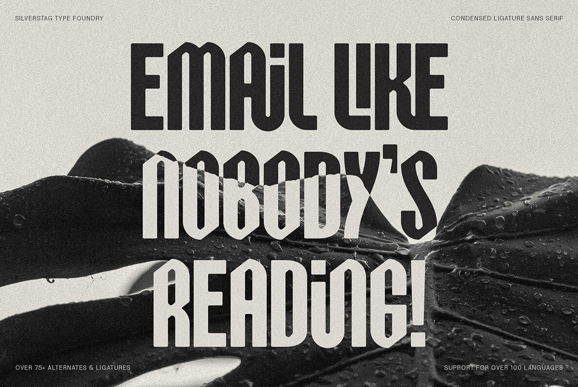 SLTF Celestial Guardians 6