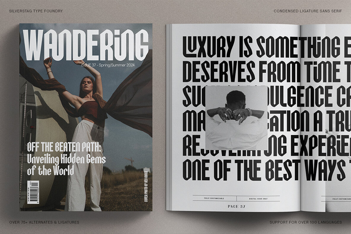 SLTF Celestial Guardians 15