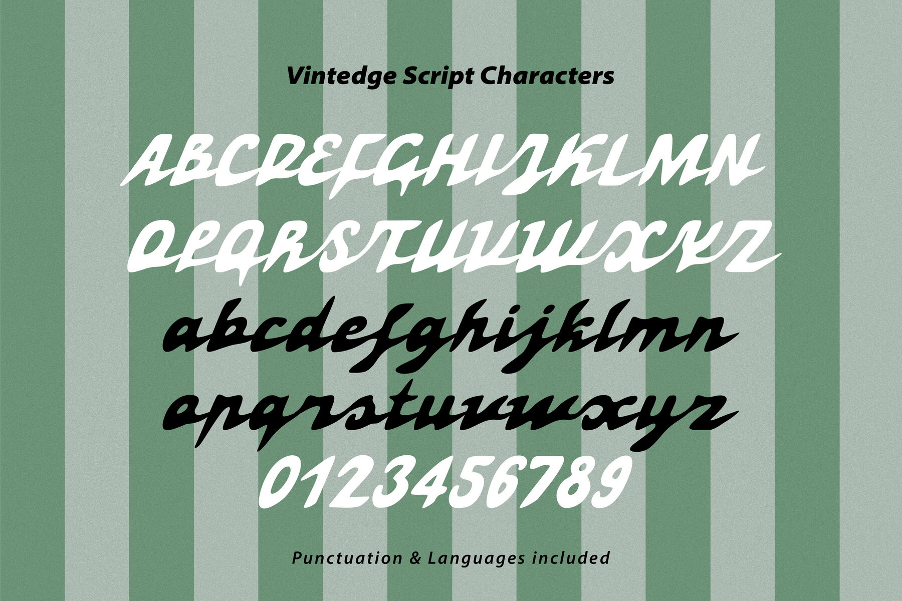 Vintedge Script 5