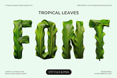 Tropical Leaves